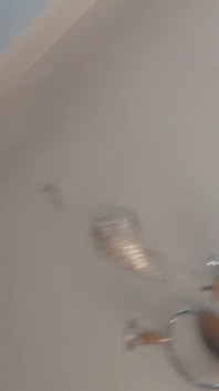 Rita Vegas - Vid_20241127_105126