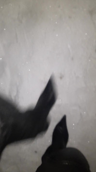 Pointy Boots di Snow