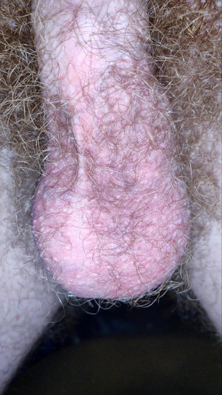 AssHungry4Cock: 정액을 생산하는 매혹적인 공