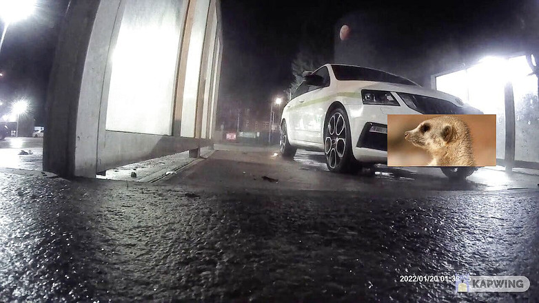 Lingeriemanx69: 穿丝袜洗车1