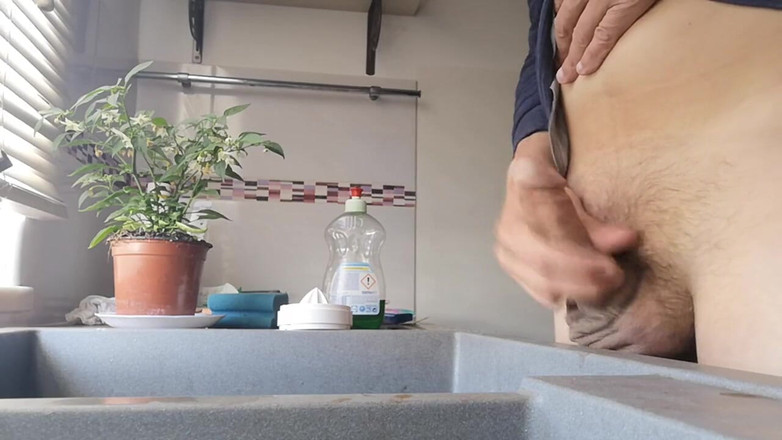 Rafael Torreano: Дрка з кухонною раковиною