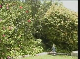 American Idol X: Petite fucking in the garden
