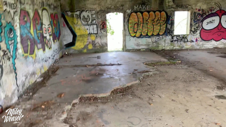 Miley Weasel: 공공 장소에서 섹스하는 핫한 독일 Miley Weasel 위험한 섹스