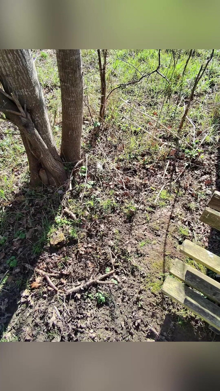 Hot dick in your ass: Giovane ragazzo in cerca di cazzo nel bosco