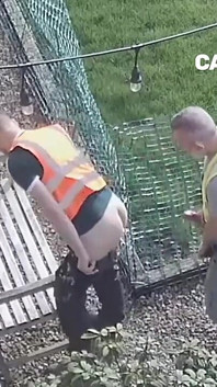 Säkerhetskamera fångade den gamla mogna hängde chefen med sin arbetskamrat