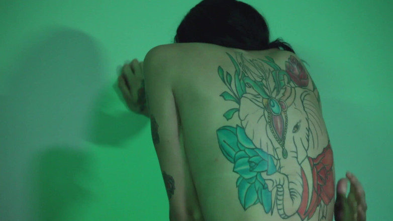 Transex: Projekt transe