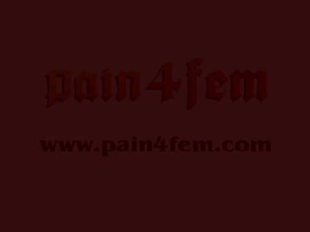 Spanking Server: Cambuk Regina 2303