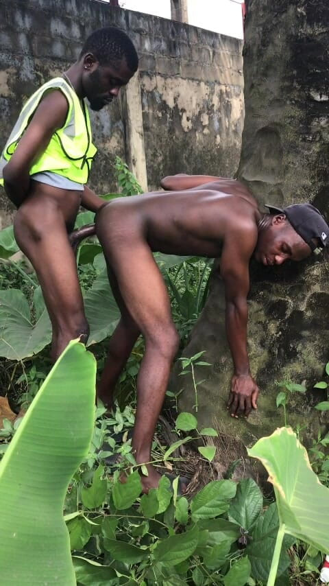 Sexydaddy: Seks luar di sebalik Pokok Sawit Ialah Ladang