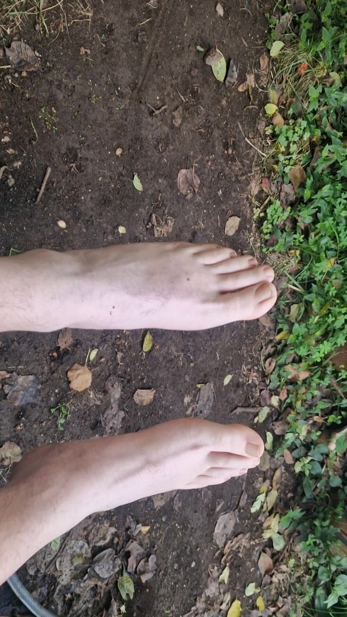 Mirko2589: mere pair