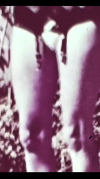 Vintage porn retro erotic theatre - wild sex 5