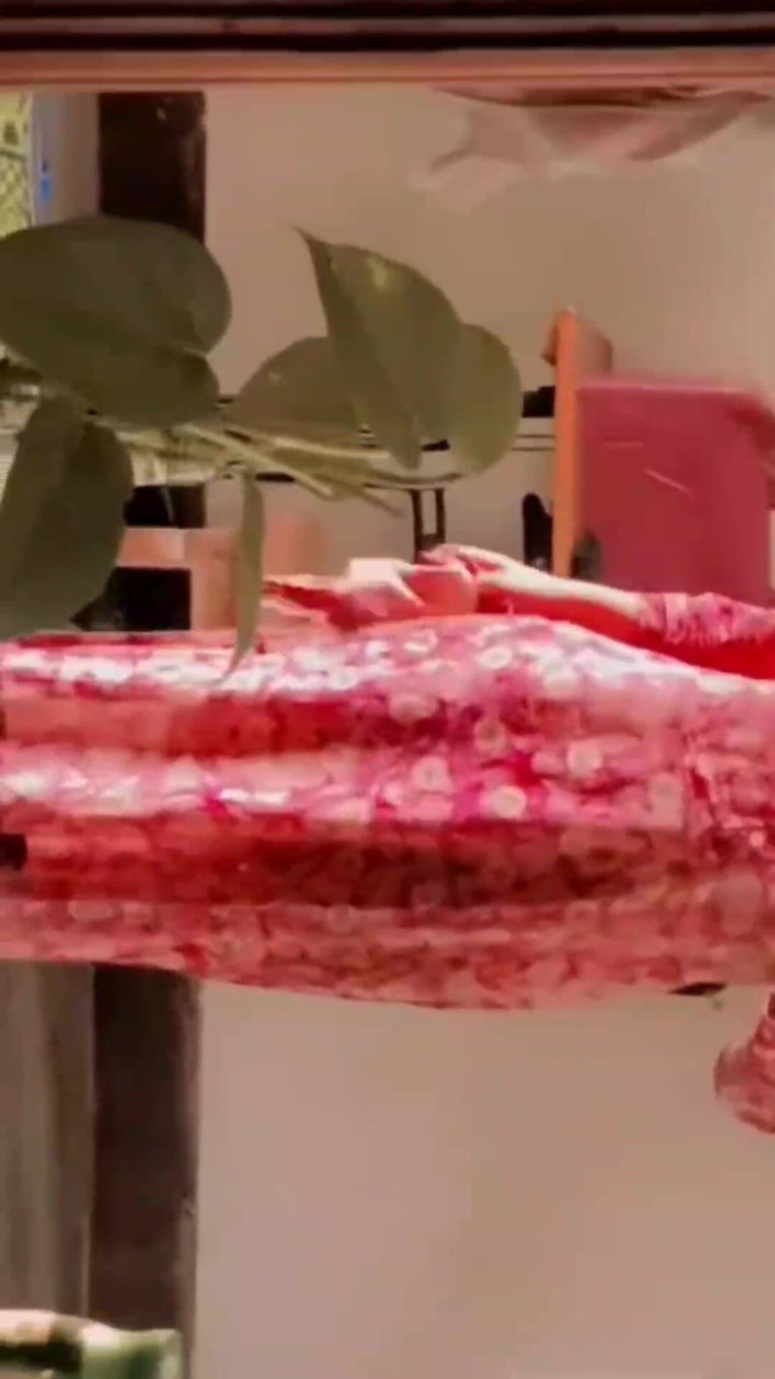 Puja viswash: ヌードSnapchat動画