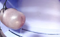 E-stim  cumshot 21-11-22