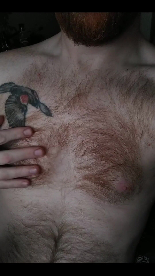 2297184868.mp4 (Logan Stanley) 2297184868.mp4 (Logan Stanley)