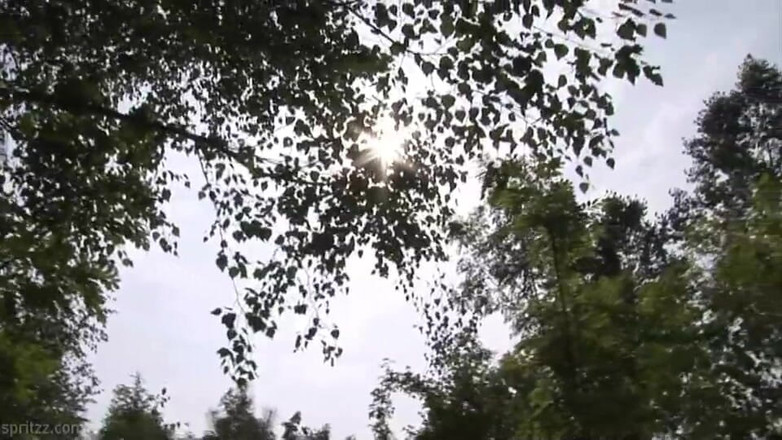 Spritzz: Summer Cruising