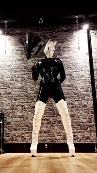 Dominatrix Unicorn