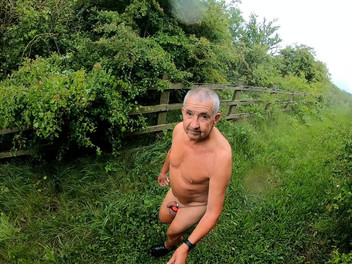 Andy: ウォーク29 2025