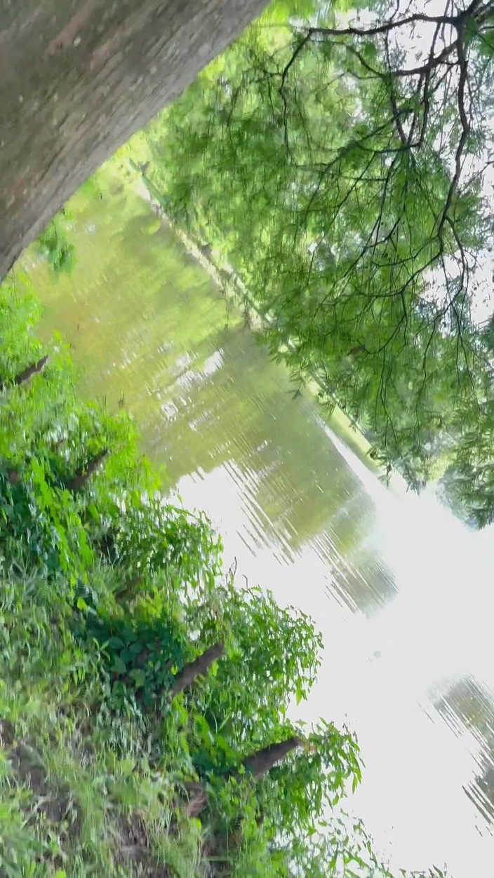 SexLoveRed: Fang mich nackt im park