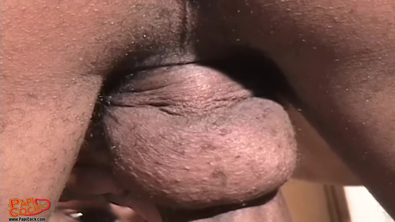 Papi Cock: Papi Rico