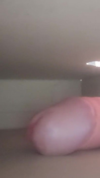 Dick in Box