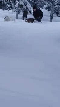 下雪时你做什么