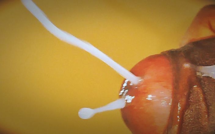 Sex art straight: Qui veut tous ça au fond de leur vagin ? Commentez rapidement