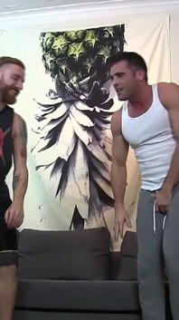 Distrugere de - Kung Fu acasă