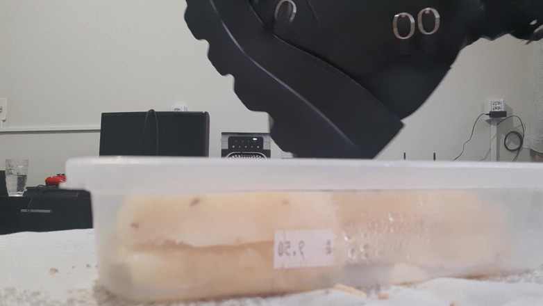 Bladexfeet: जूते के साथ अनानास को कुचलना