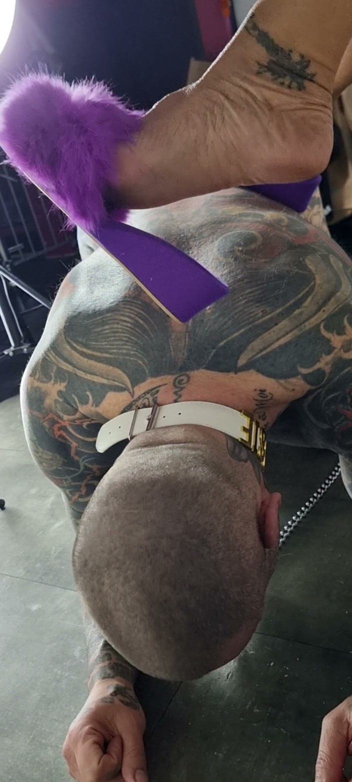 MiLadySaintLawrence: Under My Feet Slave and Worshi My Foot