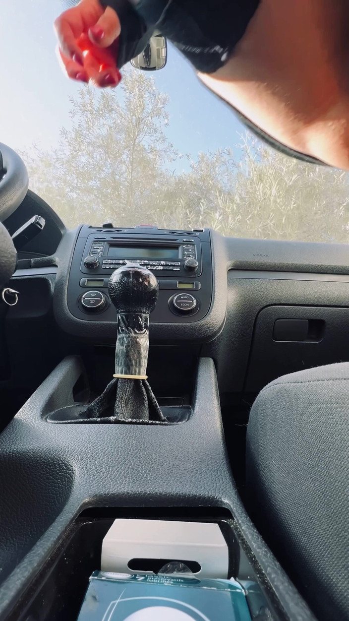Couplehamster: I Put the Gear Lever of a Friend's Car in...