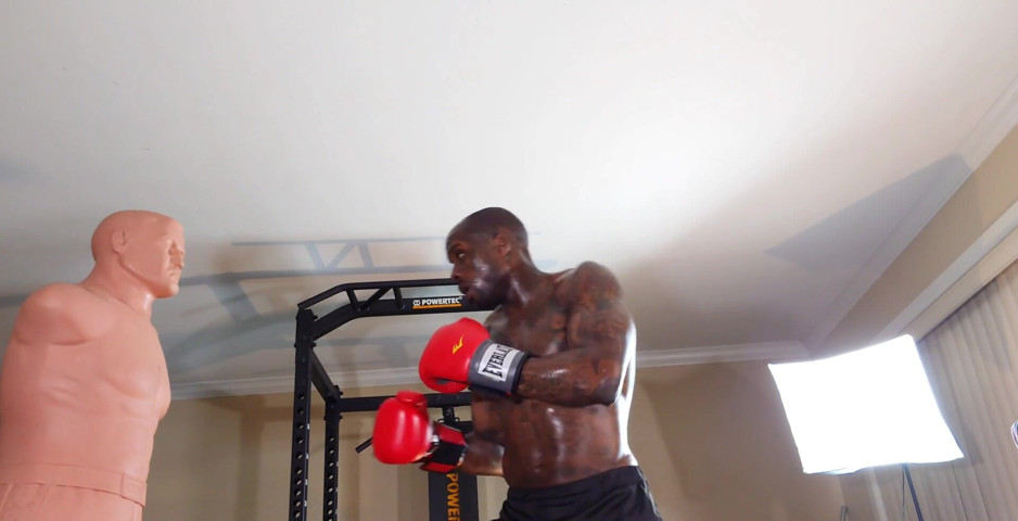 Boxing Workout When Designing a Core Training Program, the Local and Global Muscles Should Both Be Trained to Develop Proper Cor (Hallelujah Johnson)
