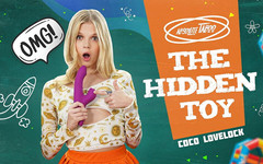 VRSpy: 绝对禁忌：玩具