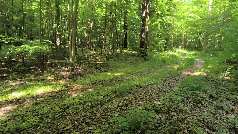 Bouncy Tits Action: Spanking Her Naked Ass in the Woods