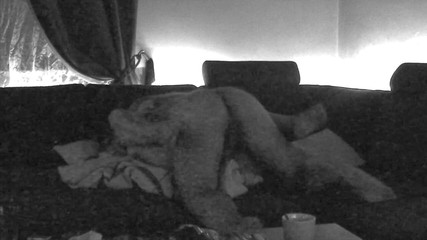 Lusty Mommy and Dirty Daddy: Nadržené šukání se sousední děvkou přeruší její manžel