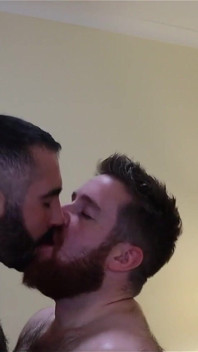 Bears Kissing
