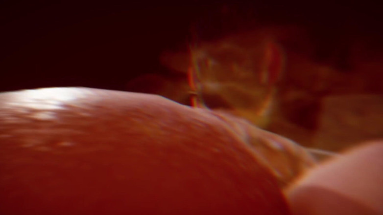 Asdfghjl2025: B015 レッグツイストスレーブ