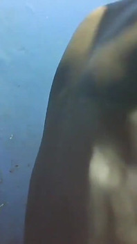 Pinay Video menyelinap dari teman lelaki adik tirinya