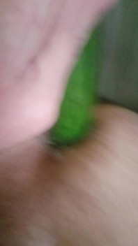Juego con mi agujero, me follo con lo que sé