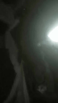 Bu gördüğüm en iyi taze amcık