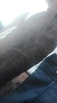 Big Cock Any Female Want