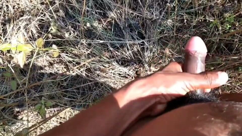 Desi Tits: Desi Indian Sex Jungle Fucking Xxx Video