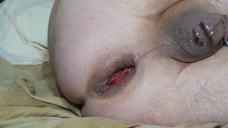 Qualzucht: Ballaballa