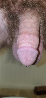 Closeup of My Cock Peeing Over the Toilet 1
