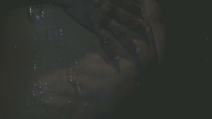 Harry River: Shared Shower
