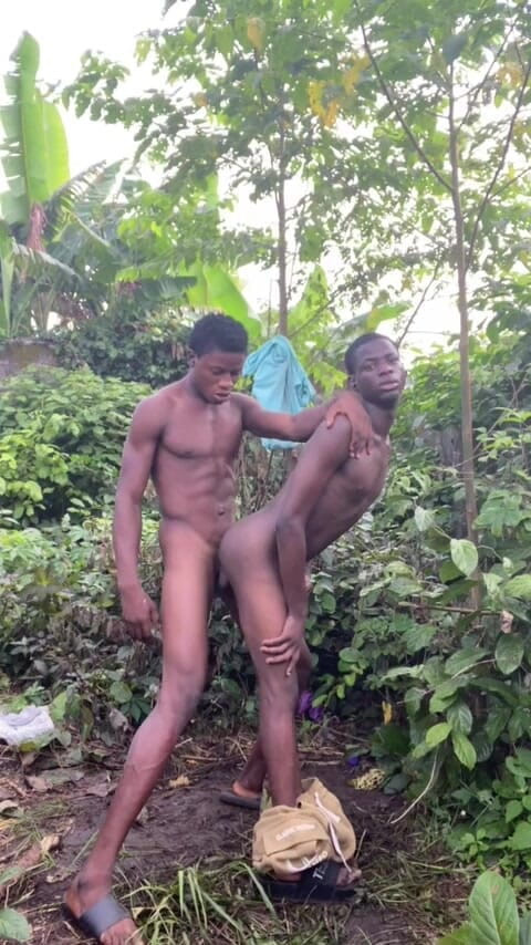 Thelittle_brown: Greetings to Everyone in a Sexy Way