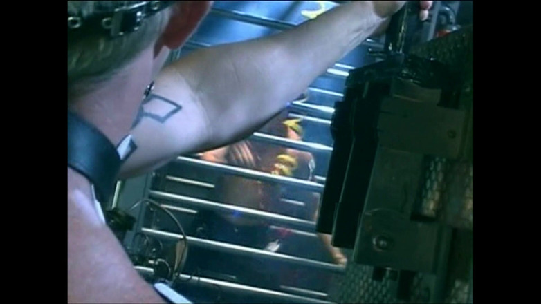 Hard Accademy: Aurora Snow Cabul Yang Bermain