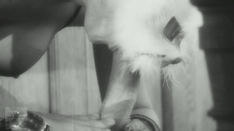 Chica Suicida DVD: รุ่นแม่น่าเย็ดชุดชั้นในนมใหญ่คลาสสิกโดนนายของเธอเย็ด