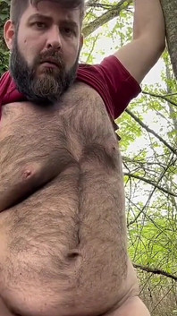 Looking for an Ass in the Forest