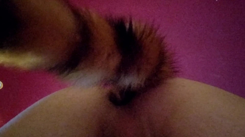 Joslin: Joslin drżąca analna wtyczka ogona