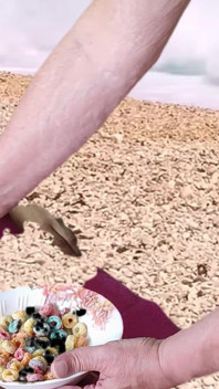 Orale sulla Spiaggia della Corale con Garabas e Olpr