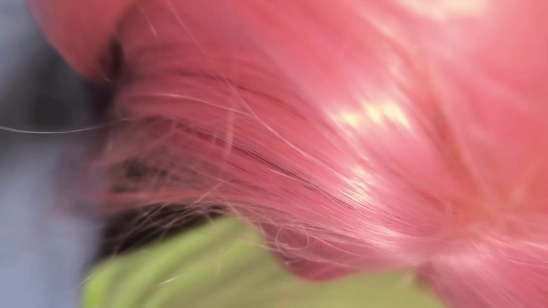 CardiC: Mật ong trans nóng bỏng mang lại cảm giác hồi...